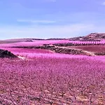 Casa Larrosa Rural En Sierra De Guara * Sieso de Huesca