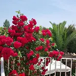 Casa Larrosa Rural En Sierra De Guara Дом отдыха Sieso de Huesca