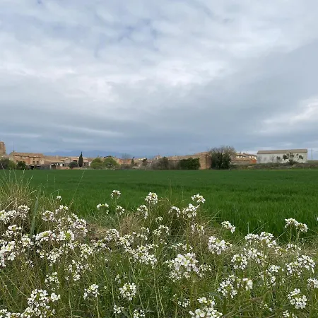Сasa de vacaciones Casa Larrosa Rural En Sierra De Guara Sieso de Huesca