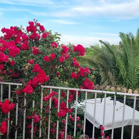 Casa Larrosa Rural En Sierra De Guara