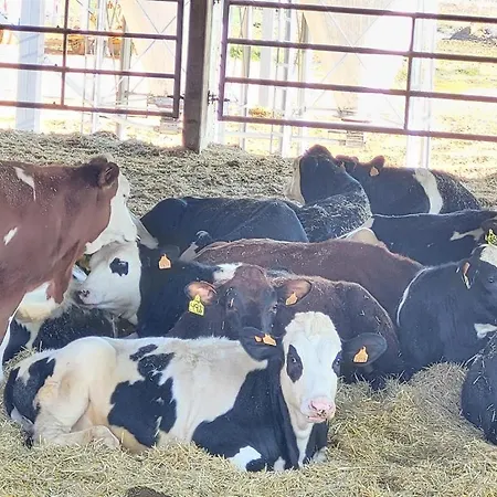 Casa Larrosa Rural En Sierra De Guara Сasa de vacaciones Sieso de Huesca