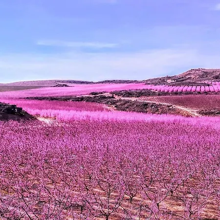 Casa Larrosa Rural En Sierra De Guara * Sieso de Huesca