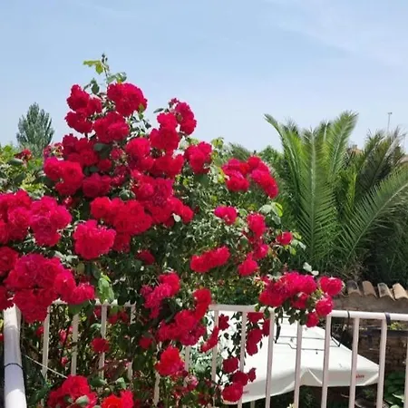 Casa Larrosa Rural En Sierra De Guara בית נופש Sieso de Huesca