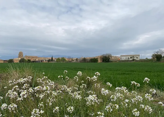 Дом отдыха Casa Larrosa Rural En Sierra De Guara Sieso de Huesca
