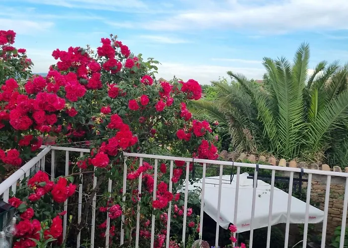 Casa Larrosa Rural En Sierra De Guara